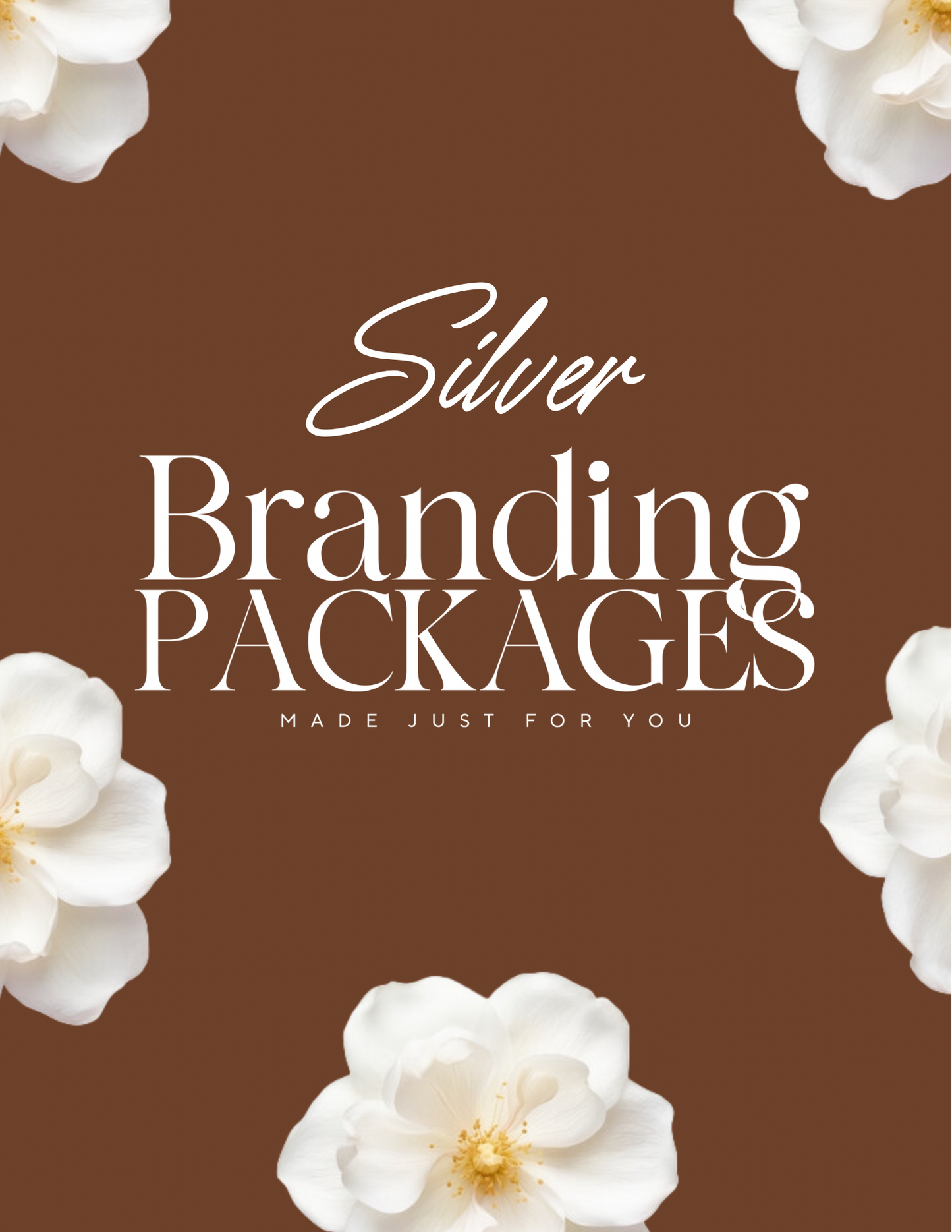 Silver Package